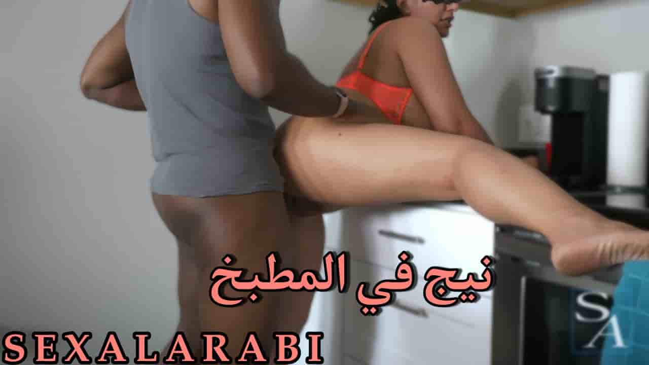 سكس مترجم الكحبة ساره العربية تتناج بالمطبخ سكس سارة عربي