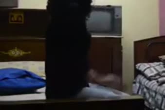 الواد جاب بنت جارته البيت وبيتحرش بيها وبيحاول ينيكها بالعافيه ةالبت بتقومه وبيقطعلها هدومه