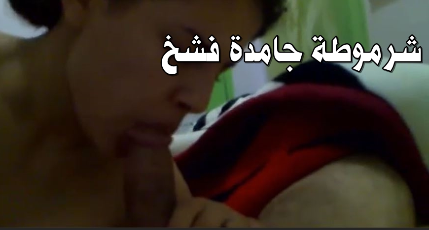 سكس مصري جديد 2025 – شرموطة جامدة فشخ تتناك بقوة فى مهبلها